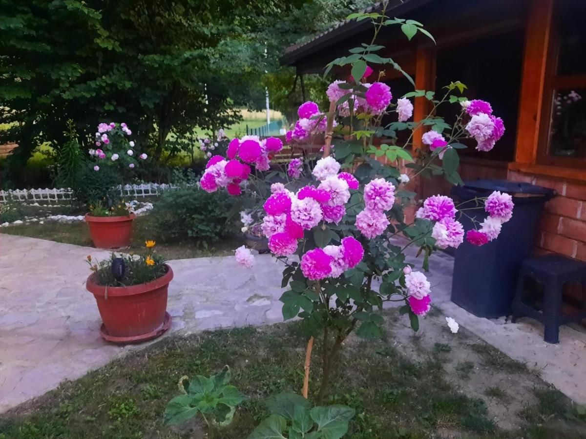 Bihać Live Nature מראה חיצוני תמונה